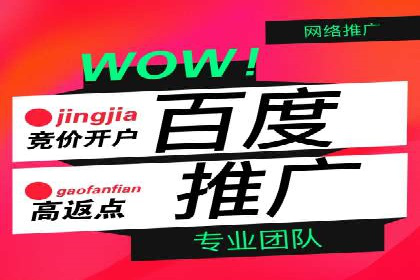 如何在sem百度竞价中实现ROI最大化？——案例分享